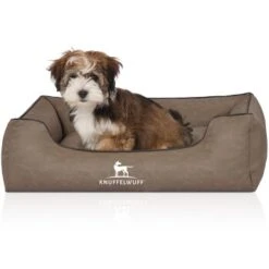 Knuffelwuff Hundebett Scottsdale Aus Kunstleder Stone Clay M-L -Zoofachgeschäft afdefd1888a78a78a3355676b158f643fcb5d7cd 1411998 de DE 22f250ac772f6cb0e29fb6fa36bf844b3aff7ab6JLwibO