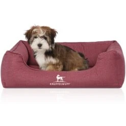 Knuffelwuff Orthopädisches Wasserabweisendes Hundebett Malou Aus Velours Mit Handwebcharakter Rot M-L -Zoofachgeschäft b0cc14bd9884abc74f72c1258c4a58d5efdba82e 1411953 de DE c79547e5b18697fd5625708cd1e924e66fbde92cdJmDNU