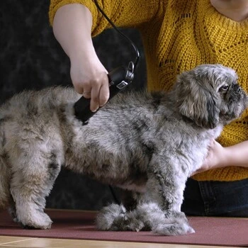 Moser Schermaschine Max 45 Inkl. ASK 4 Moser Schermaschine Max 45 Inkl. ASK – Bild 4