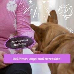 BeG Buddy Beruhigungsmittel Anti Stress -Zoofachgeschäft b103d91cb68ed72492e1a80be5084c66da746197 1457250 de DE 08609e0fa51d07263b2814ccdd31d9130bc0e999N5hPoA