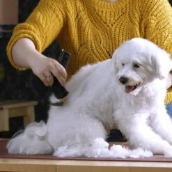 Moser Schermaschine Arco Pro -Zoofachgeschäft b131ca6d4dc18dbcff5826048d13c7a9865a2f22 9527aaf3ea2ef7fd3da12225a4b042dbe7fd8159