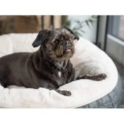 TrendPet LunaBed Hundebett Beige S 6 TrendPet LunaBed Hundebett Beige S -Zoofachgeschäft b212c247b049ca8bfe06f13412a12f4f8872bd34 1343729 de DE 09debbd0142a0d2cb20a6392f9d425901b9f7709LSeqTd