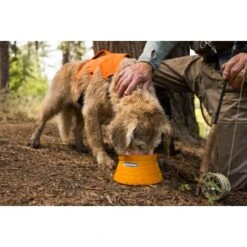 Ruffwear Bivy™ Faltbarer Napf -Zoofachgeschäft b21f85e12f046bba6b04285e99963c46170021f9 1651613 de DE 125ef372cbb05a1c89e3245701a5cdf0079102b6GpOPij