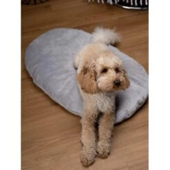 TrendPet Emma Liegekissen Grau S 7 TrendPet Emma Liegekissen Grau S -Zoofachgeschäft b48aa1ae4cf4d68ec69ba4c37d516f74528715ee 1369472 de DE b2ffa28c3681679283b9f0b59962e0ca3348cc04HFyDSJ