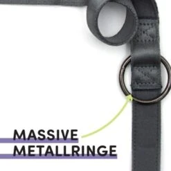 STUCH Hundeleine - Führleine - Large Grau -Zoofachgeschäft b8aa24e27cbc4a178974cb09d87bbaf3f970df7e 1399116 de DE db6ead7203d242448ab935c04f029f56fb115743qrNPpj