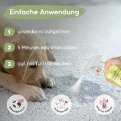 Pawlie's Tier-Geruchsentferner -Zoofachgeschäft ba4e72bd0856659ee703976c3992ad377159a32b 1626202 de DE 09ba7a0a0323d0ef51bb3689b7ee854b0f5c28feEmQBAQ