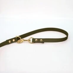 THE DOG IDEA Biothane Hundeleine Gold Khaki 6 THE DOG IDEA Biothane Hundeleine Gold Khaki -Zoofachgeschäft ba8d255fb716394c17e07af2b5ef5b85a720f116 1655423 de DE 5e757c090042c1e0d6305bf96e6af8382b1815e778ZfRC