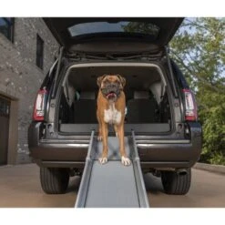 PetSafe Happy Ride Teleskop-Hunderampe -Zoofachgeschäft babae185f5393056b26e591fc5ce31f63a798c24 1481152 de DE eebd6cebb01ac656592f9756726d28efa0c57612r2442Y
