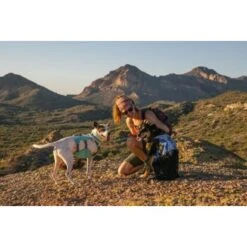 Ruffwear Swamp Cooler™ Geschirr Violett L-XL 19 Ruffwear Swamp Cooler™ Geschirr Violett L-XL -Zoofachgeschäft bb26cdd896074e6ea6b83a2e11f4b6cb5c7a08c9 1651453 de DE 0738621222b34f456fd2a616a7dc06e6b24f57112NyqMj