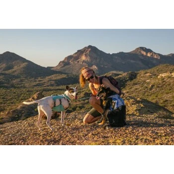 Ruffwear Swamp Cooler™ Geschirr Violett L-XL 9 Ruffwear Swamp Cooler™ Geschirr Violett L-XL – Bild 9