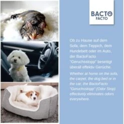 ChronoBalance BactoFacto Probiotischer Geruchsstopp Pads Für 2 Liter 20 Ml -Zoofachgeschäft c27e75fc226c89e592b2af9866887997e79057a8 1397549 de DE 11eaf103bff429178d8c79950fc83faf63345183BU6JEF