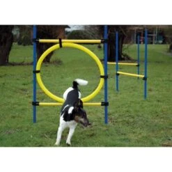 Dobar 3-teiliges Agility Sprung-Set,, Inkl. Tragetasche 8 Dobar 3-teiliges Agility Sprung-Set,, Inkl. Tragetasche -Zoofachgeschäft c7c9dd298510f0bd74d586405ecbd396df04c759 313726f2dd166c5ec13855d4374275bbe5eeeeec