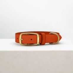 THE DOG IDEA Leder Halsband Orange M -Zoofachgeschäft c8786622c4ddb3c106babce32bff1fb4253e061b 1674196 de DE 714570c14a0e5bbdd38df31b81343bdc05cedccbKoLmZ8