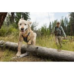 Ruffwear Brush Guard™ Geschirrzubehör S -Zoofachgeschäft c88704a120b1ecbe10b5759d1532c5876bf02eec 1651427 de DE 6693c5b56ae972b6dab2ef2f40458870105d43f0wwSvBk