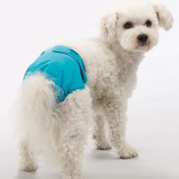 SIMPLE SOLUTION Bramton Waschbare Hundewindel XS 2 SIMPLE SOLUTION Bramton Waschbare Hundewindel XS – Bild 2