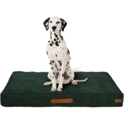 MORE Liegeplatz Cord LOOKS By Wolfgang Joop M -Zoofachgeschäft cbaa1b9028bb7e7a2d8f26864d83ad74a46fdc0c 1410461