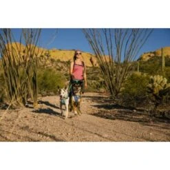 Ruffwear Swamp Cooler™ Geschirr Violett L-XL 21 Ruffwear Swamp Cooler™ Geschirr Violett L-XL -Zoofachgeschäft d0abc349a10811bbd05c0fc614d96cb63a2f0613 1651453 de DE 00efb9f982076af20ddde1a707f7830a11c8e752c0zjBr