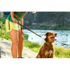 Ruffwear Quick Draw™ Leine -Zoofachgeschäft d1a8c18e035818dbf1ed58b97fddffe01ede0173 1651494 de DE 4f873f7c5bfacd53d1273d7707320a62f83c3e3a8YUebM