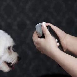 Moser Schermaschine Arco Pro -Zoofachgeschäft d1c65d2d167a6d8fa4a6793a53ee3362d025451e ecb090312fbe9e8eac9c719cb575336bebaad472