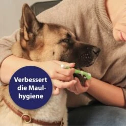 Canosept Zahnpflege-Set Für Hunde -Zoofachgeschäft d3527ed20311c26905cc21d326812cefdd56476d 1382706 de DE f1dd7678e896b8abfecbaf661ecaf238a0e628638erujn
