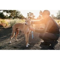 Ruffwear Web Reaction™ Halsband Blau S -Zoofachgeschäft d3a35049e9c877af4e809eacf99e8b70fd10e90d 1651469 de DE e4b26d10fc45962c6fa312f90366b5045e2c5f98pdXT30