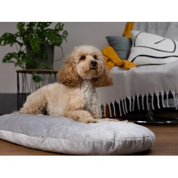 TrendPet Emma Liegekissen Grau S 2 TrendPet Emma Liegekissen Grau S – Bild 2