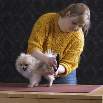 Moser Schermaschine Prima 2 Moser Schermaschine Prima – Bild 2