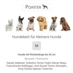 Pointer Liegeplatz Anthrazit M -Zoofachgeschäft dacb5d0e68369f55cb762b76a22898271ab868a8 0636d788341d46b965ccfed669d1fb34a1f28af7