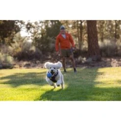 Ruffwear Huckama™ Spielzeug Violett 15 Ruffwear Huckama™ Spielzeug Violett -Zoofachgeschäft de98c2ecd6bc81dff2b7d8cf1a58077d493a7574 1639706 de DE 45a4de67f9d48aebc4c0b236a73c853c0d2955efn7XFon