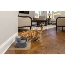 PetSafe Trinkbrunnen 1,8 L -Zoofachgeschäft df488cf045110a6e0d24fcded3d81de07583d88a 1323706 7