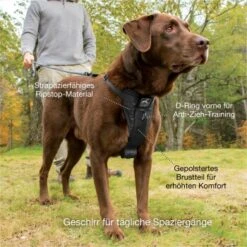 Kurgo Tru-Fit Smart Hundegeschirr XS -Zoofachgeschäft dfbefdb5cf1d59684ff67b5f978c9da5ad4d6801 1481169 de DE 388e931619b4f142b5510c311a315484232475c29AvRiq