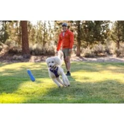 Ruffwear Gourdo™ Spielzeug L Violett -Zoofachgeschäft e0043bb37798e694605eafae31f43ab1b08a1b0e 1639892 de DE 14d32b95607116f791fa89977cce0163703631adnlxQik