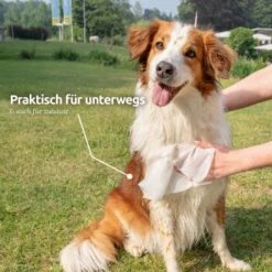 Aniforte Pflegetücher 100 Stück -Zoofachgeschäft e365b8abe40c079512459251ed7a0e0087ff8345 1439276 de DE e9b1c5cd3e053b4194f300ca56919dacbe6d40f5HoicFY