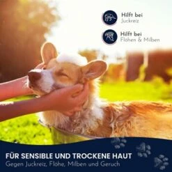 Pawlie's Sensitiv Hundeshampoo Für Hunde -Zoofachgeschäft e89fe06ff66f08049212bfc10adc10153aeb63cf 1626194 de DE 4976fc58bb1aa66ec74bbce2250fc22a134be1c3oYKgL0