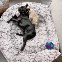 Wallace & Jones Hundebett Cordo-Heaven S -Zoofachgeschäft e93a1c7230d5e68bce6327ea17899707386bce88 1449008 de DE cd9be4db759cf7be03c3a1803409c0da67c4816eifOskb