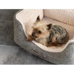 TrendPet VitaBed Classic Orthopädisches Hundebett Beige S -Zoofachgeschäft e9c4b8b04715aa9a0805f554870b41f4b66dff08 1312262 de DE 149707f9692d822bfb2866d578db217fa49558ddkusmtz