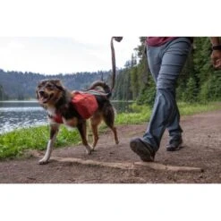 Ruffwear Front Range™ Hundetagesrucksack Rot XS -Zoofachgeschäft ecc2342d30f723199676137e5ad8c45ad3ce0796 1639836 de DE fe8e077ce41ec4d12619357e7402d2ee7ca63fed0L7PK6