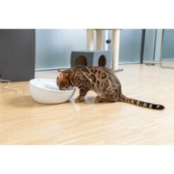 AniOne Keramik-Trinkbrunnen Waterfall Weiß Ohne Ersatzfilter -Zoofachgeschäft f5666e2f535275128e81462f19991e450c3d3f87 c66954489332ac4ff326811e24559ef9b2854fac