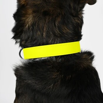THE DOG IDEA Biothane Halsband Neongelb Schwarz XS 5 THE DOG IDEA Biothane Halsband Neongelb Schwarz XS – Bild 5