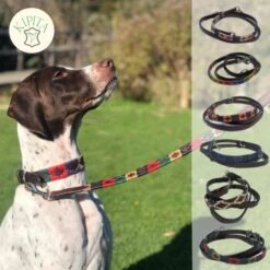 Kipita Polo Hundeleine Classic -Zoofachgeschäft f86aae5f01ccb0fa2be4e64b3698130c3af93e02 1410955 de DE 0bc8d688bd07984d484eea2e3dc3f790086fea45s1x5Vw