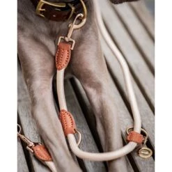 Freudentier Führleine 2m & 3-fach Verstellbar -Zoofachgeschäft f89940099070c3162adf440711f0edc5bb22072e 1496011 de DE 6c2382c9aa0f35ae5d0558378f7254aaf4412a67UPNndW