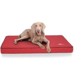 Knuffelwuff Orthopädische Hundematte Juna Aus Laser-gestepptem Kunstleder Rot L -Zoofachgeschäft f8b9acde67bbc991a3791bba8cbd6c17097f2504 1411845 de DE 72b49e96d0fc008afacc20cc3236e69e758dd290NyBtW7