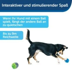 PetSafe Elektronisches Hundespielzeug Ricochet -Zoofachgeschäft fde7c0cc07cd70611ca47b65ddae3e632f160d94 1418724 de DE 4f6e4953c50827cae26a42d6d5890e56447a49a4XQHEwC