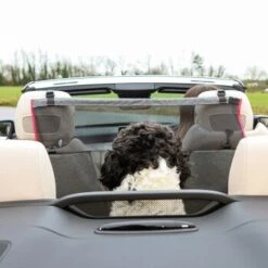 KONG Vordersitzbarriere -Zoofachgeschäft ff5dbde9995c56c34bbe7bc5016592f3adbb7bc3 2f73ce2132082534f311b2977a78cc14a0a72f3e