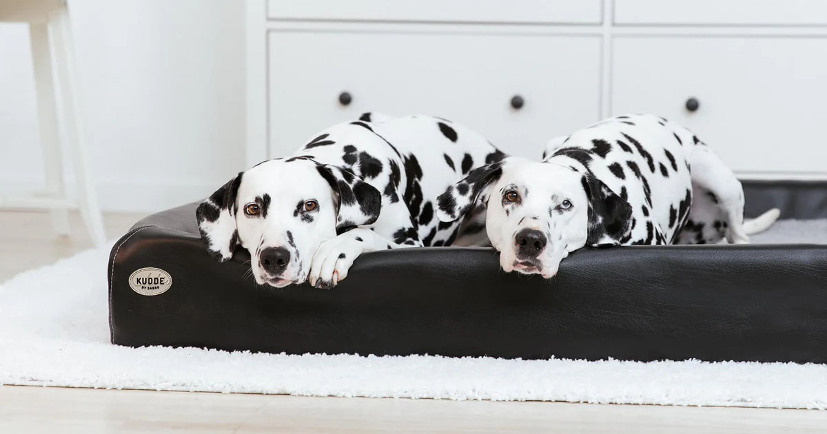 Zoofachgeschäft -Zoofachgeschäft 1