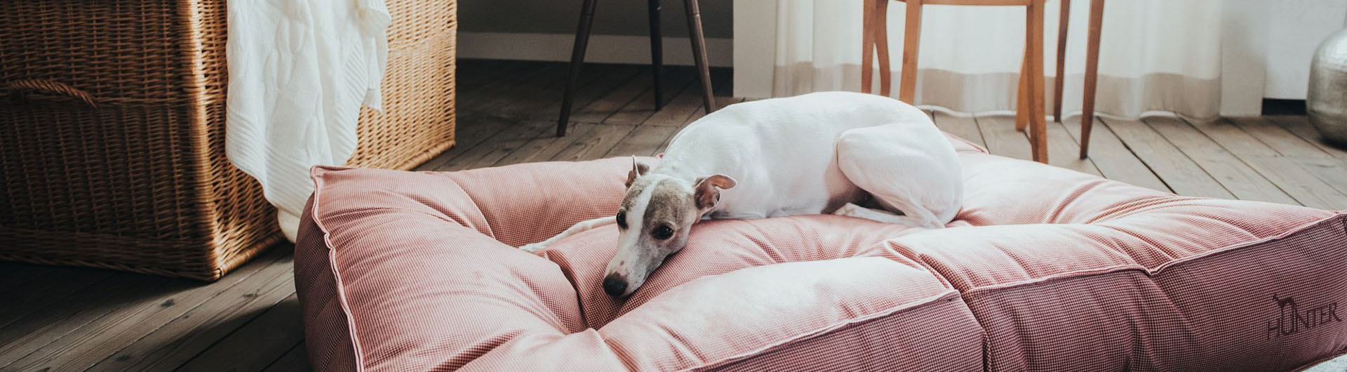 Zoofachgeschäft -Zoofachgeschäft 3